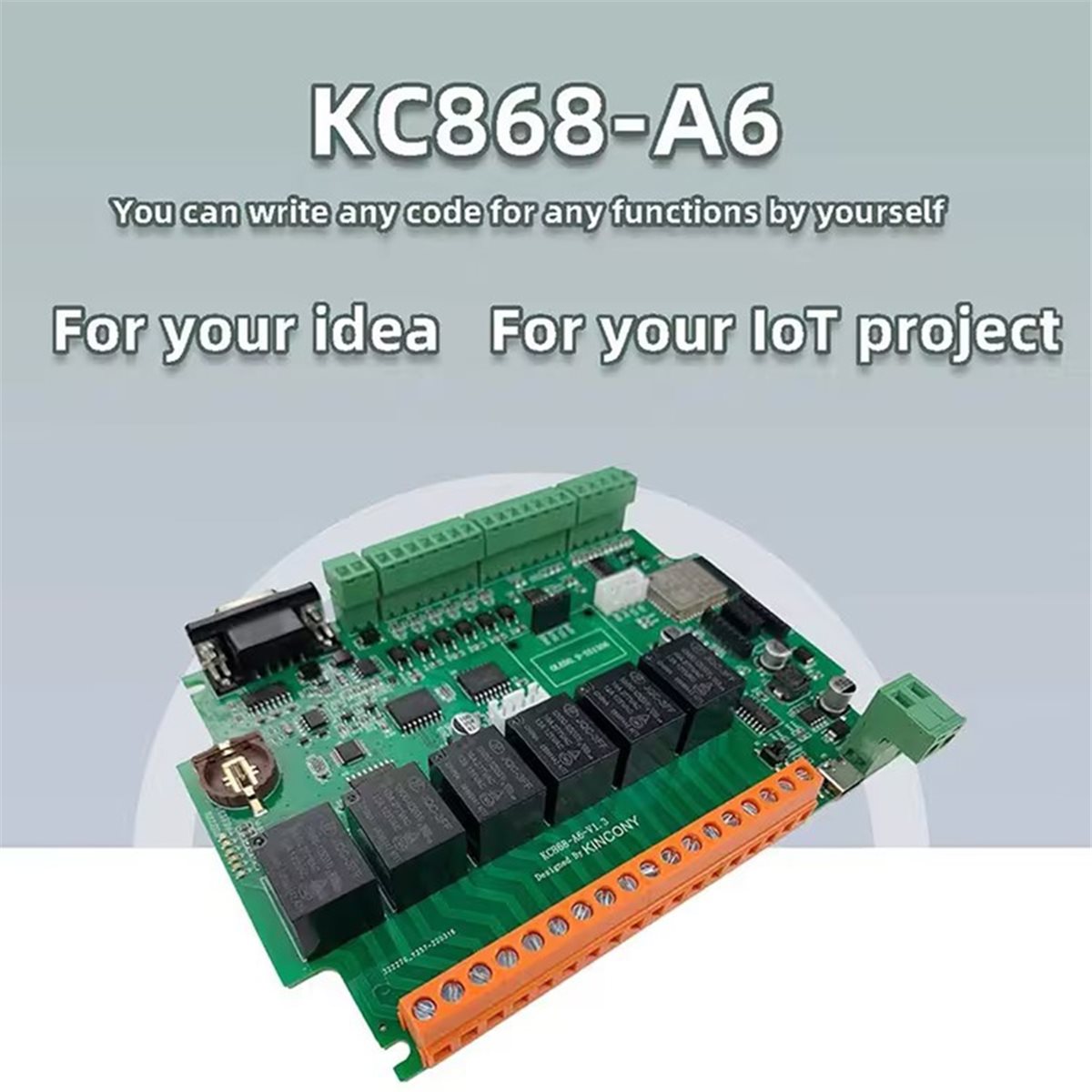 Scheda di sviluppo KC868-A6 MQ - Home Automation Systems Diy recensione e prezzo